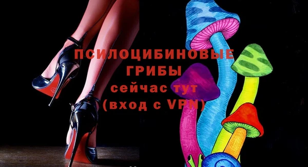 стафф Аркадак