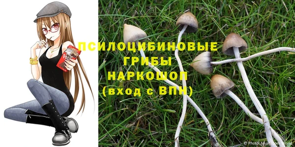 стафф Аркадак