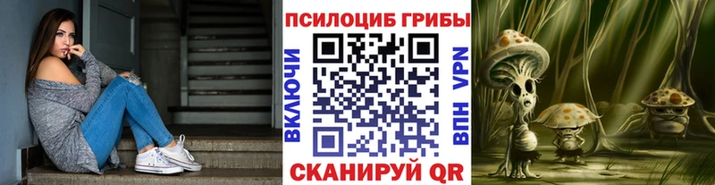 Псилоцибиновые грибы мицелий  блэк спрут маркетплейс  Гулькевичи  сколько стоит 